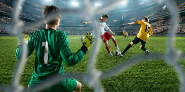 和经验丰富 和经验丰富