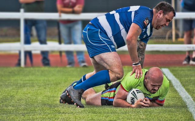 仅限定了只 仅限定了只